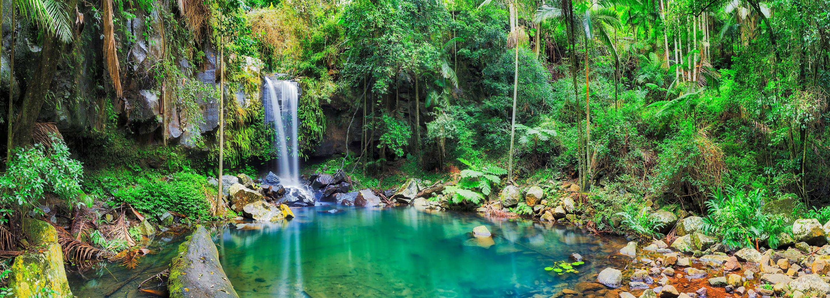 Mt Tambourine Waterfall
