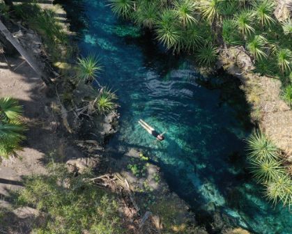 Picture of A person floats in the crystal-clear waters of a natural spring surrounded by lush tropical vegetation near Darwin, Northern Territory. The serene scene is framed by pandanus trees and rocky edges.