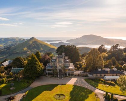 Picture of Aerial view of Larnach Castle near Dunedin, New Zealand, surrounded by lush gardens and rolling green hills. In the distance, Otago Harbour glistens under the soft light of late afternoon.