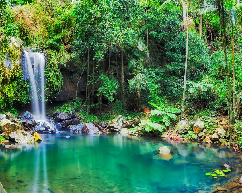 Mt Tambourine Waterfall