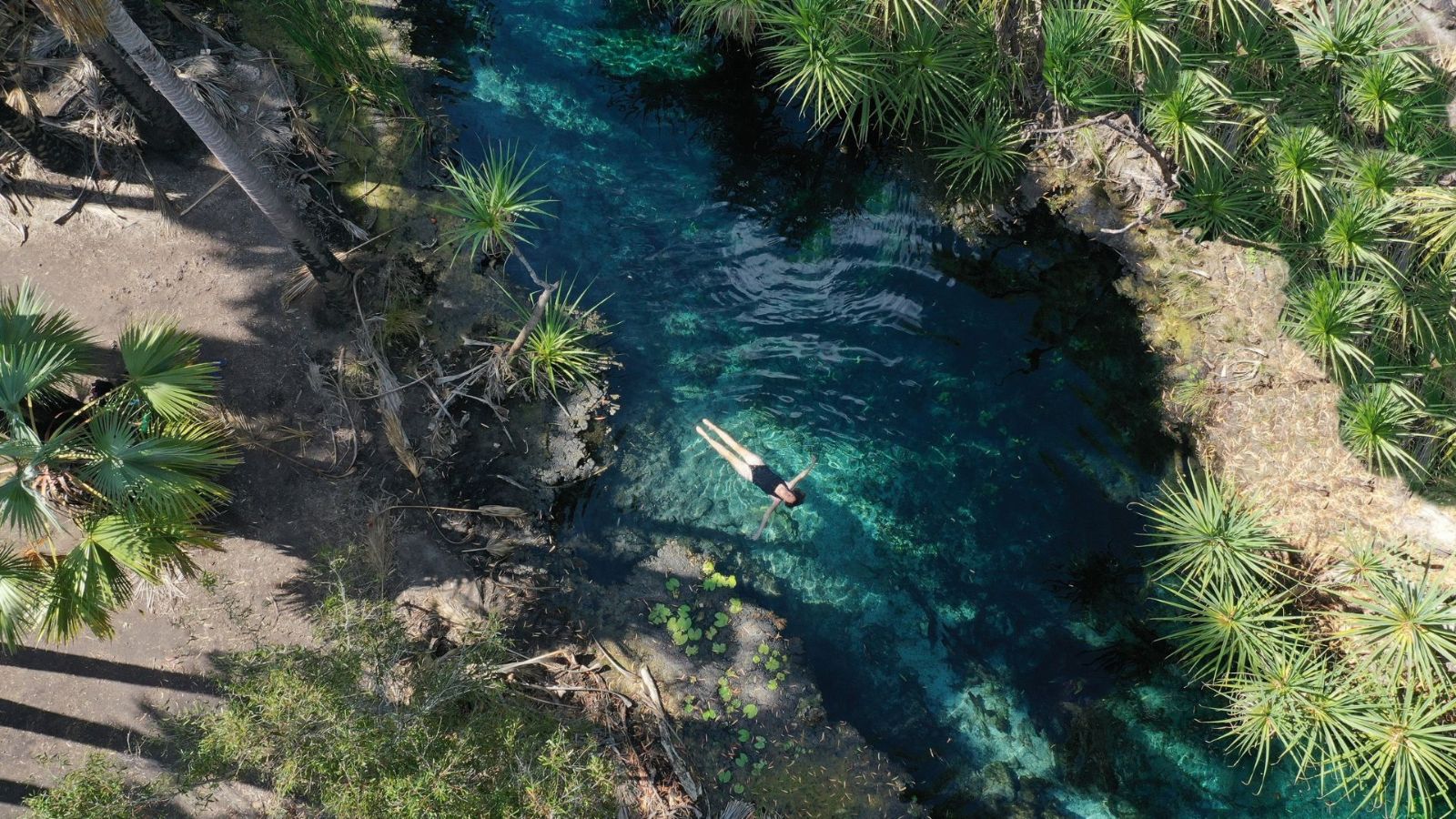 Aerial view of a person floating in a clear freshwater swimming hole surrounded by tropical plants near Darwin.