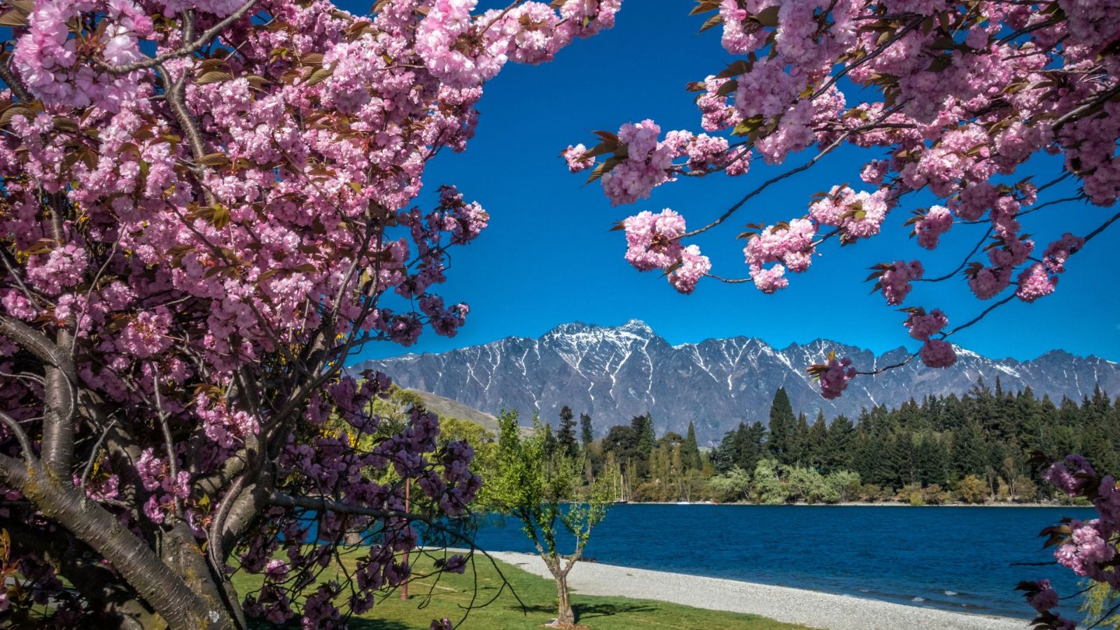 Queenstown, New Zealand