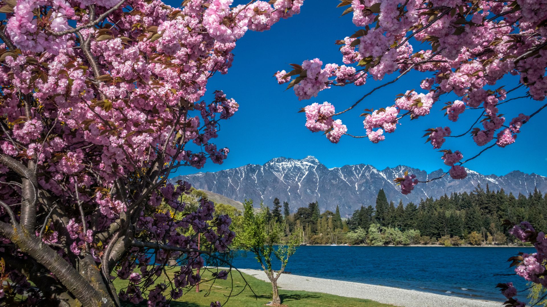 Queenstown, New Zealand